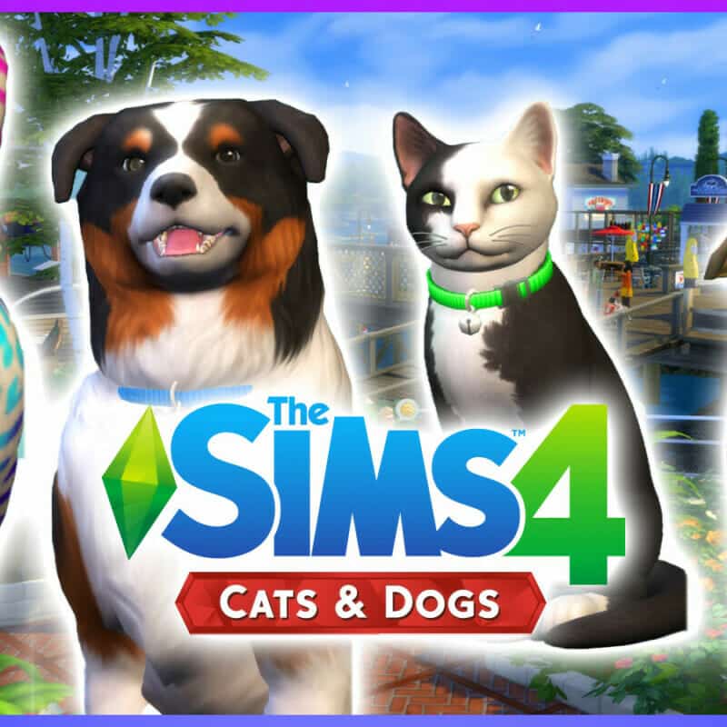 Cats & Dogs