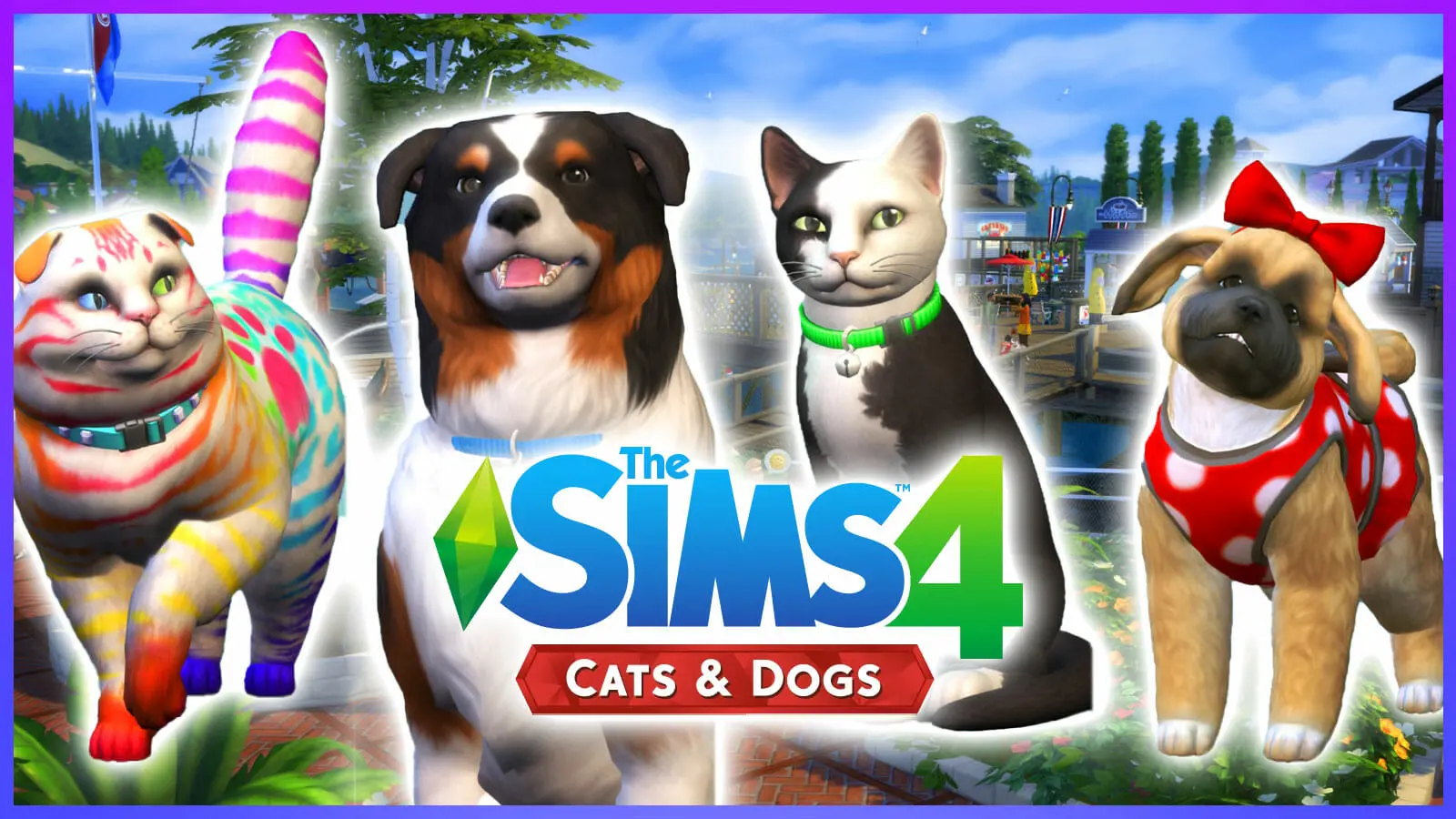 Cats & Dogs