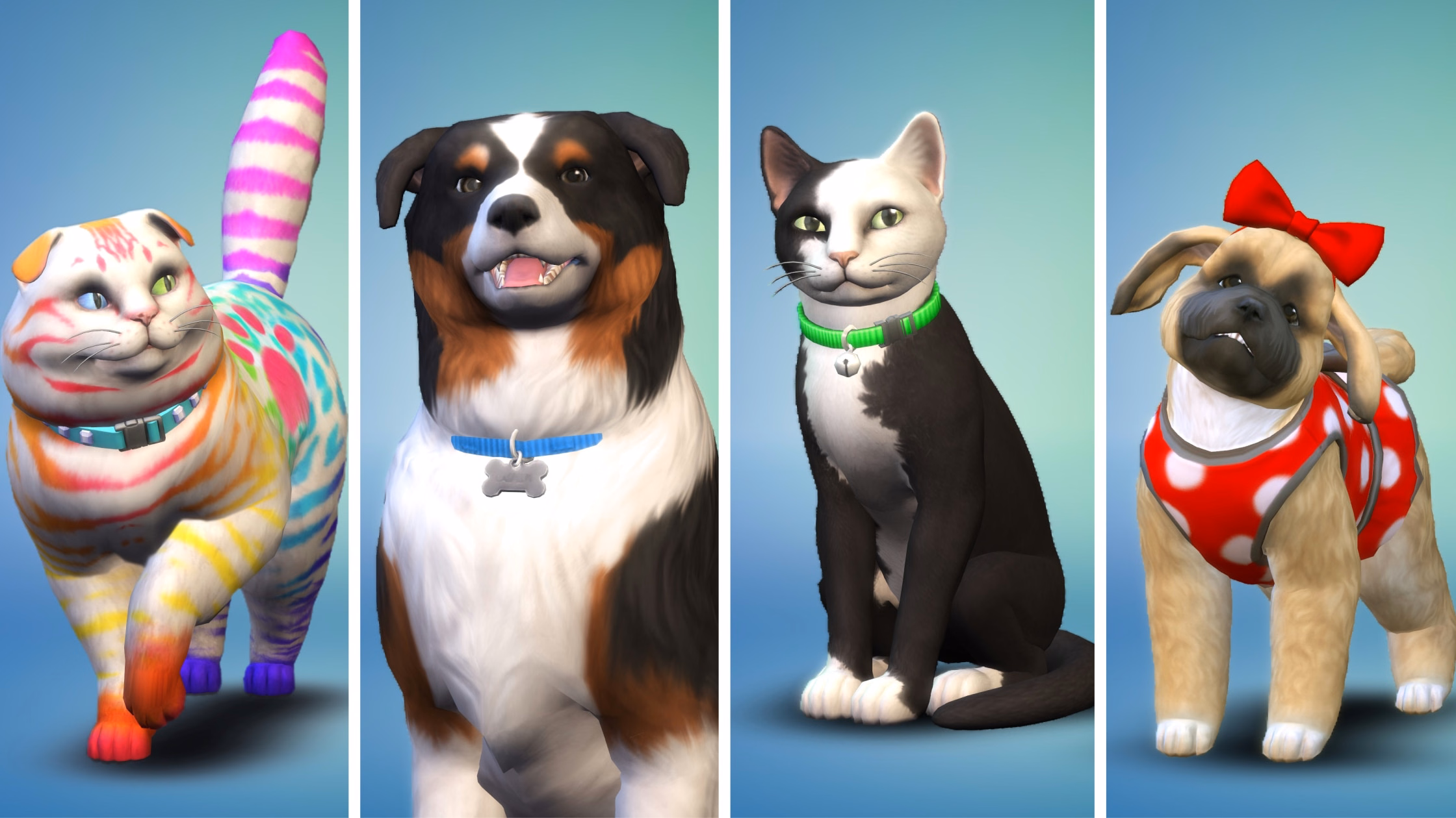 ตัวอย่างสัตว์เลี้ยง 4 ตัวที่สร้างจากเครื่องมือ Create A Pet แมวลายตาขนกับสุนัข 2 ตัวและแมวลายทึบสีดำขาว 2 ตัว