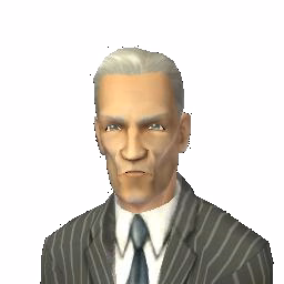 Consort capp v2