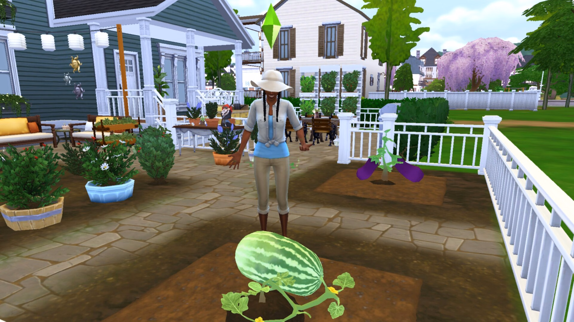 Gnome The Sims
