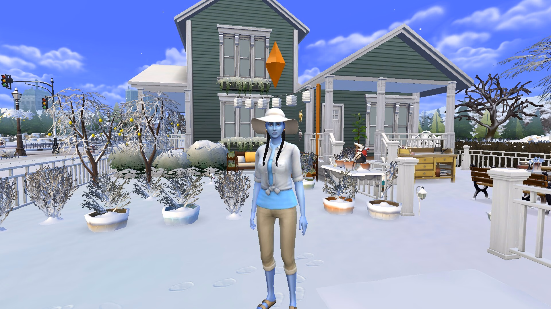 Gnome The Sims